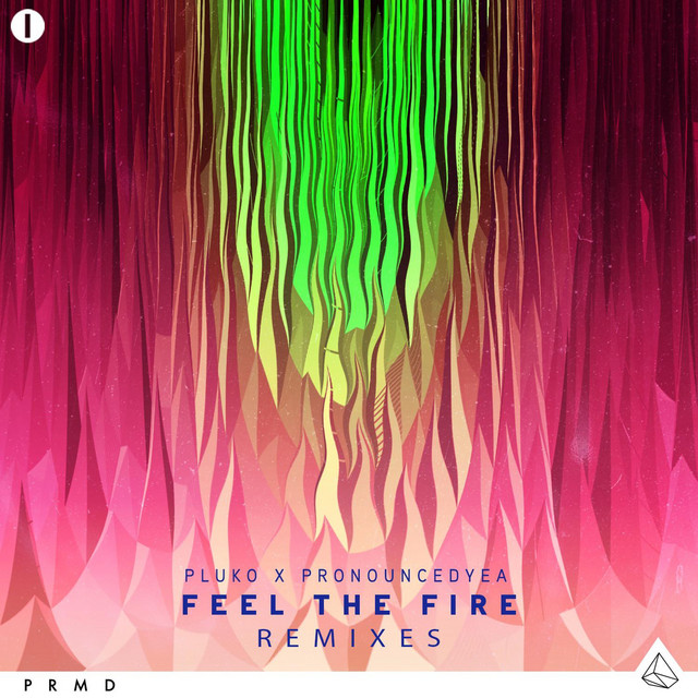 Feel the Fire(Remixes)